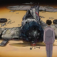 Illustration for article titled Ghiblis New Movie Is Beautiful (But It Has Its Problems)
